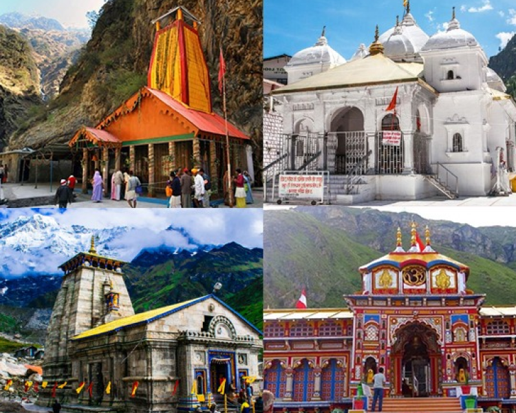 Nice Tour and Travel