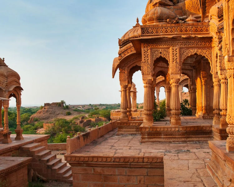 Nice Tour and Travel