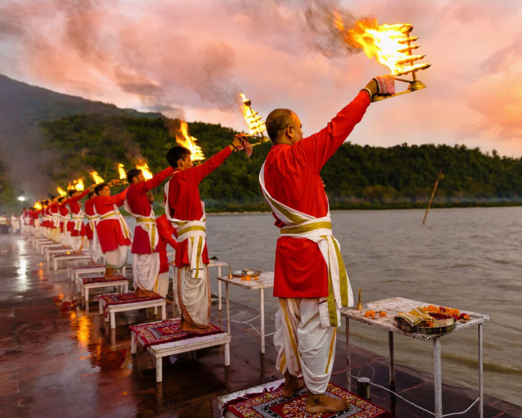 Nice Tour and Travel