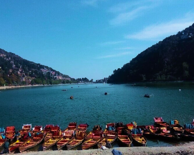 Nice Tour and Travel